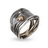 Ring Hubble Silver