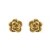 Zenith Aphrodite Rose L Ørestikkere
